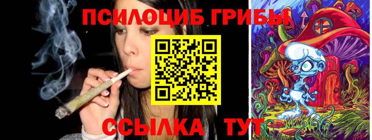 Галлюциногенные грибы мицелий  Вход с VPN  Зеленодольск  Галлюциногенные грибы Magic Shrooms 